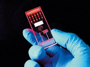 Mikrofluidische Testkassette für die schnelle Diagnose am "Point of Care"  © Fraunhofer IPA/Dirk Neumann