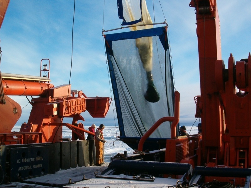 Krillfang an Bord "Polarstern" (Foto: U. Bathmann/AWI)