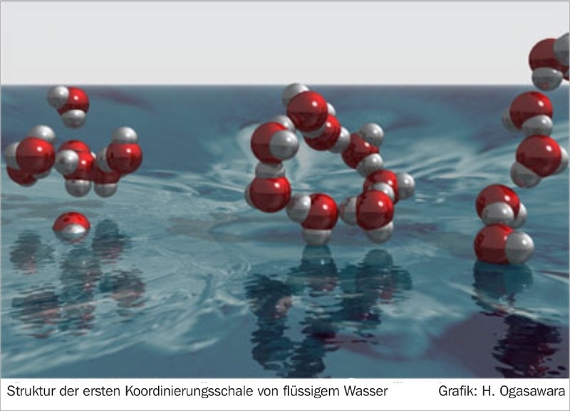 Struktur der ersten Koordinierungsschale von flüssigem Wasser