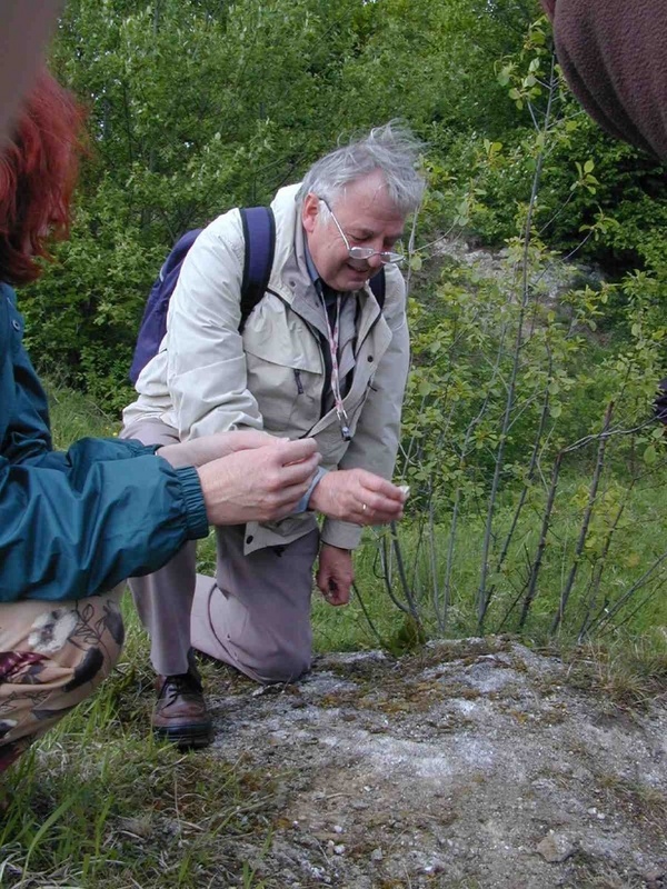 Prof. W.H.O. Ernst von der Freien Universität in Amsterdam mit demonstriert an Gipsstandorte angepassten Wildpflanze im Naturschutzgebiet Hainholz bei Hörden im südwestlichen Harz. (Foto: FAL-PB)