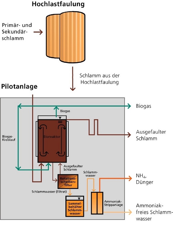 Die Pilotanlage besteht aus Bioreaktor, Filter und Ammoniakstrippanlage.