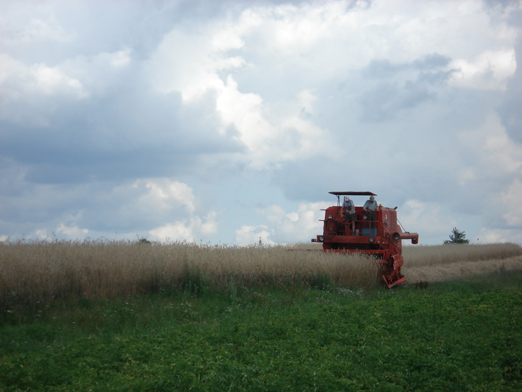 Die polnische Landwirtschaft ist von der Krise eher nicht betroffen.