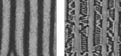 180 Nanometer dünne Manganarsenid-Schicht. Links Rippen (hell) aus ferromagnetischem Material und Rillen (dunkel) aus paramagnetischem Material. Rechts der magnetische Kontrast innerhalb der ferromagnetischen Streifen. Abb.: PDI