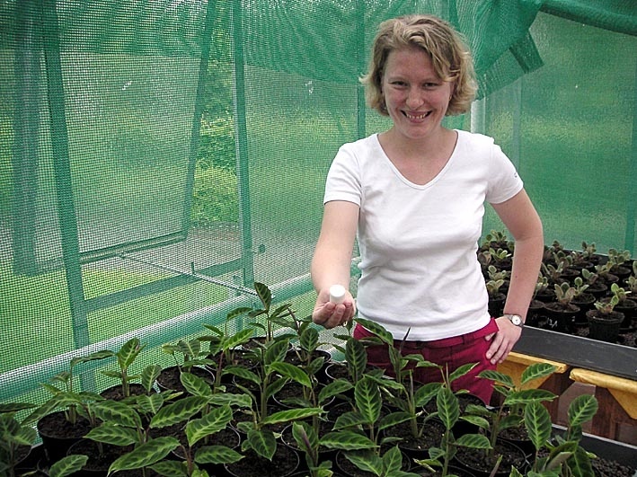 Maria Hogrebe mit einem Muster des Depot-Düngers. Bilder zu dieser Pressemitteilung gibt's im Internet unter http://www.uni-bonn.de/Aktuelles/Presseinformationen/2004/278.html