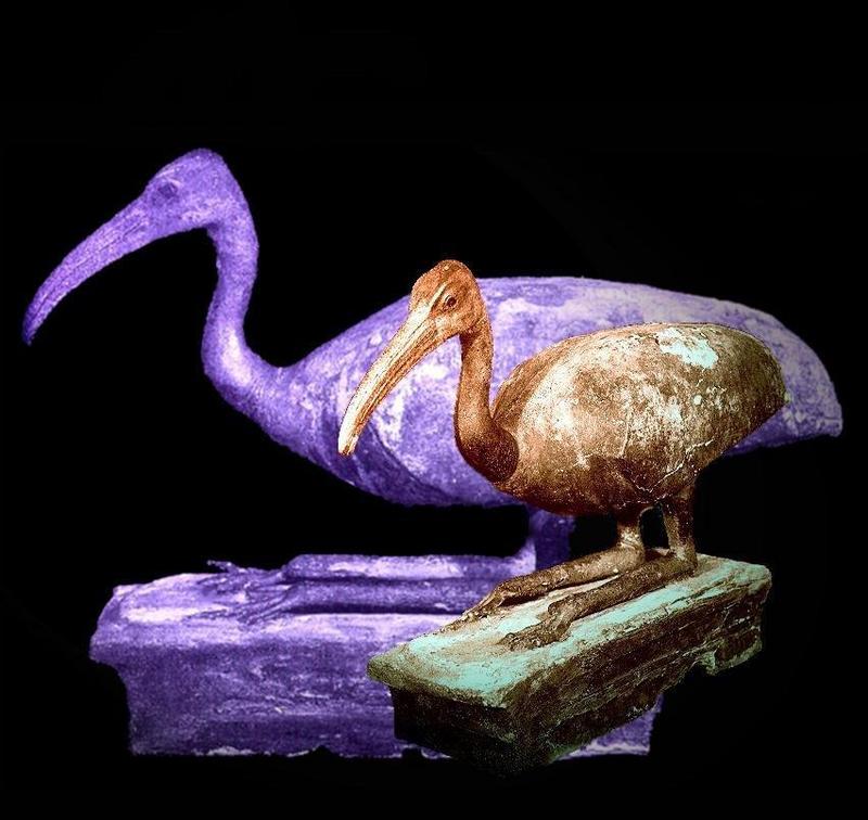 Der Ibis aus der Kunstsammlung des Seminars für Ägyptologie birgt ein Geheimnis: Im Bauch der über 2000 Jahre alten Statuette liegt wohlbehütet ein Ei. Die Besonderheit der Statuette wurde durch Röntgenaufnahmen und Computertomographie sichtbar gemac