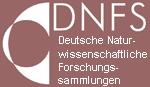 Logo DNFS