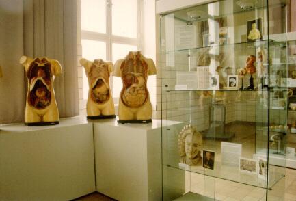 Blick in die Sammlung; links Steger-Modelle
