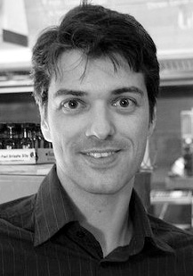 Dr. Wilhelm Hofmann vom Institut für Psychologie der Universität Würzburg hat einen der sechs Heinz-Maier-Leibnitz-Preise der Deutschen Forschungsgemeinschaft  (DFG) für 2010 erhalten.