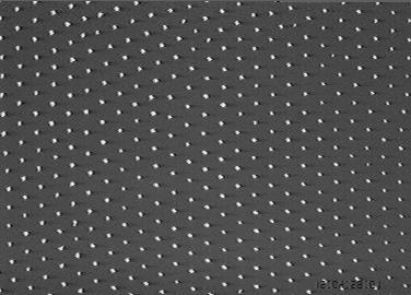 "Plasmakristalle" - 1994 am MPE entdeckt - können durch spontane Selbstorganisation in Plasmen entstehen. Die Abbildung zeigt die regelmäßige Anordnung der mikroskopisch kleinen Polymerkügelchen in einer kristallinen Struktur.
