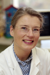 Dr. Iris Körner