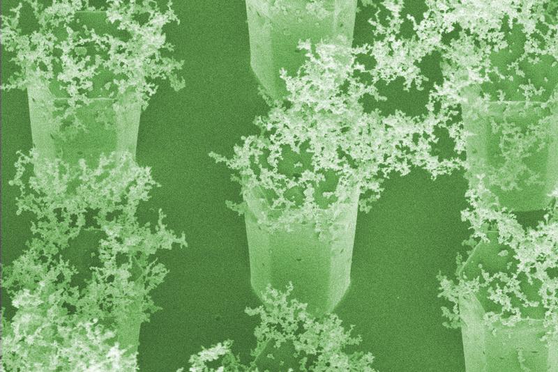 Beispiel für Nanodetektoren der nächsten Generation: Kohlenstoff-Nanopartikel auf Sammler-Stäbchen aus Silizium. Quelle: IHT/TU Braunschweig, 2010