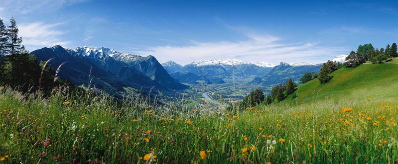 Das Rheintal bei Liechtenstein . 