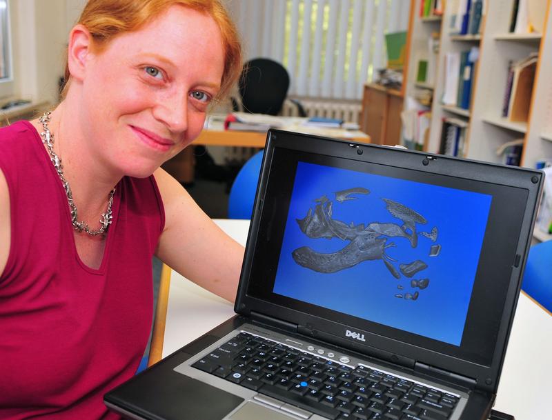 Dr. Vera Weisbecker von der Universität Jena hat die Evolution von Säugergehirnen untersucht.