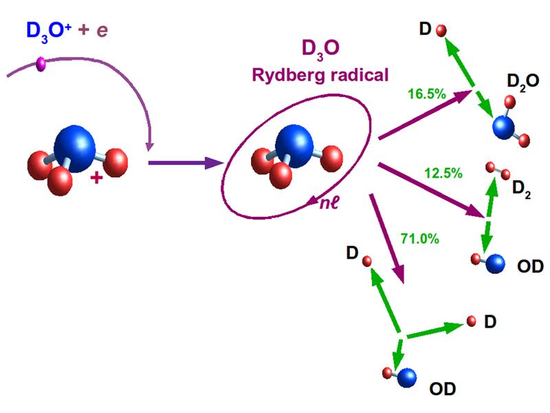 Abb. 1: Zerfall auf drei Wegen. Ein Hydronium-Ion fängt ein Elektron ein und kann dann in verschiedene Kombinationen von Fragmenten aufbrechen. Die angegebenen relativen Häufigkeiten wurden für das schwere Hydronium-Ion D3O+ gemessen. Der Einfang erzeugt das instabile Radikal D3O wobei sich das eingefangene Elektron in einem schwach gebundenen Rydberg-Zustand befindet.