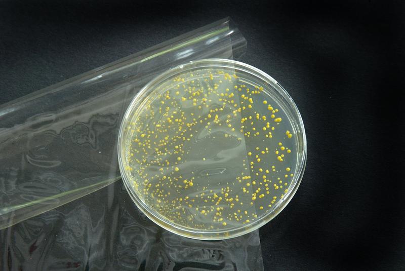 Diese Folie auf Lackbasis gibt einen antimikrobiellen Wirkstoff an die Produktoberfläche ab. Auf diese Weise schützt sie Lebensmittel wie Fleisch, Fisch oder Käse vor Keimen. 