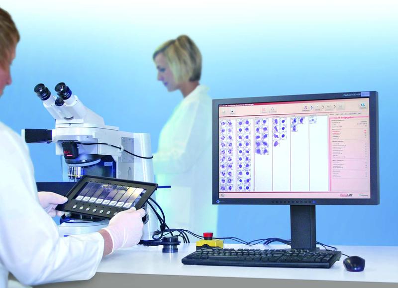 Die Klassifikation der Leukozyten wird mit HemaCAM strukturiert und übersichtlich dargestellt. © Horn Imaging
