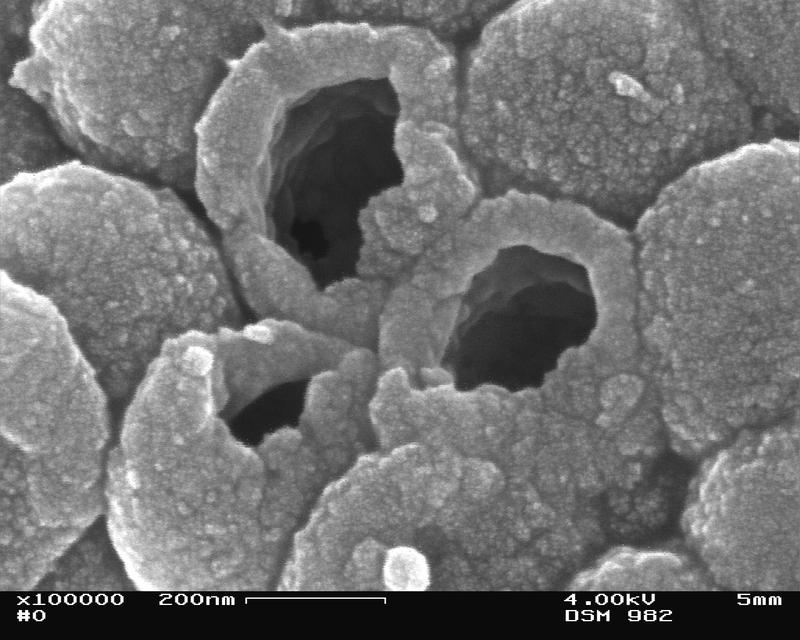 Oxazonin- und Oxazolinmodifizierte Polypyrrol-Hohlkugeln  