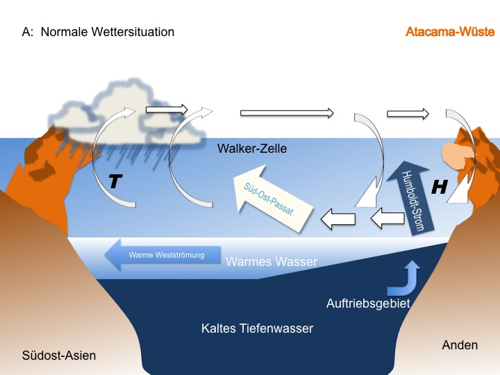 In der  Abbildung A ist die normale Wettersituation dargestellt. Im westlichen Pazifik in Äquatornähe liegt die Wassertemperatur mit 28 C um 4 C höher als auf gleicher Breite im Ostpazifik. Dort sorgt der aus dem Süden kommende Humboldtstrom zusammen mit dem Ostwind zum Auftrieb von kaltem, nährstoffreichen Tiefenwasser. Diese Temperaturdifferenz sorgt für die Ausbildung eines Windsystems, der so genannten Walker-Zelle. Im Westen entsteht durch aufsteigende warme feuchte Luft ein Tiefdruckgebiet (T). Beim Aufsteigen kühlt die Luft ab, es bilden sich Wolken, die abregnen. Im Ostpazifik bildet sich ein Hochdruckgebiet (H, Antizyklon) aus. Trockene Luftmassen sinken herab und verstärken die Passatwinde, die in Richtung des Tiefdruckgebiets im Westen wehen.