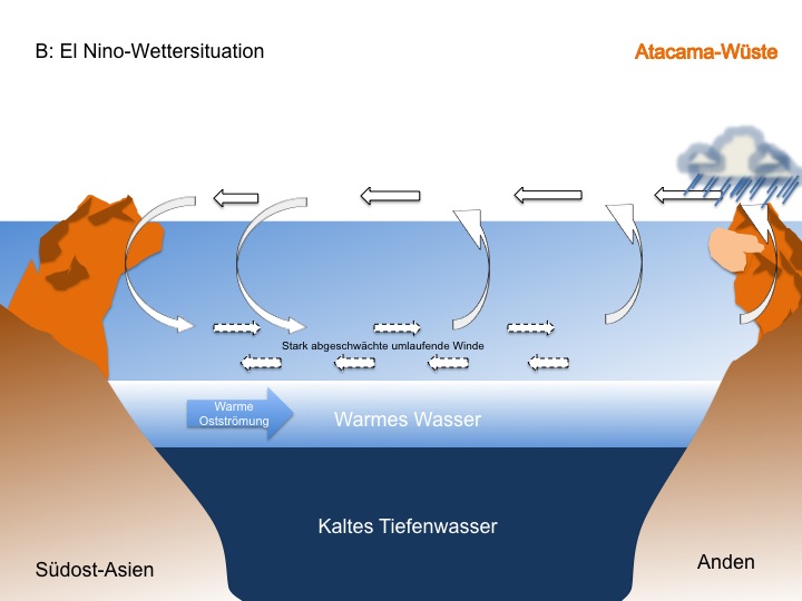 Beim El Nino-Effekt kehren sich die Verhältnisse um. Die Passatwinde sind so so stark abschwächt, dass sie am Äquator ihre Richtung ändern. Warmes Oberflächenwasser breitet sich von Westen bis an Küste des südamerikanischen Kontinents aus. Das Windsystem der Walker-Zelle bricht zusammen. Große Mengen Wasser verdunsten im Ostpazifik und jetzt können sich Wolken bilden, die aufsteigen und an den Hängen der Anden abregnen. Als Konsequenz wird weniger nährstoffreiches Tiefenwasser nach oben gedrückt und die Fischschwärme bleiben aus, weil die Nahrungskette zusammenbricht. An der Südküste Amerikas wird es wärmer und feuchter, Ecuador und Nordperu gibt es sintflutartige Regenfälle wo sonst Dürre herrscht. 