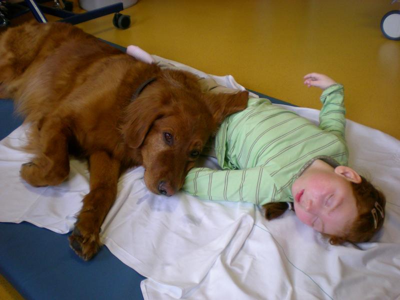 Hundetherapie