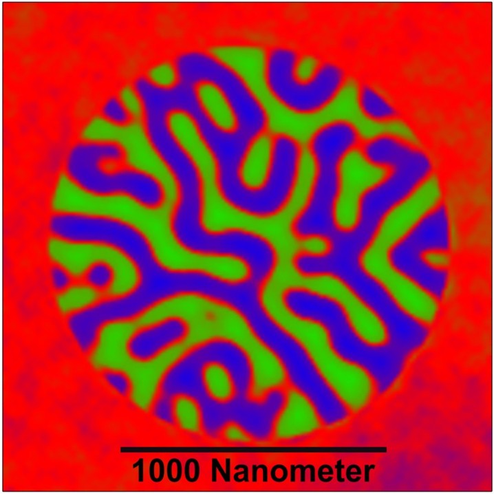 Aus dem Hologramm rückgerechnete wurmförmige magnetische Domänen. Sie unterscheiden sich nur durch ihre Magnetisierungsrichtung (blau: aufwärts, grün: abwärts)