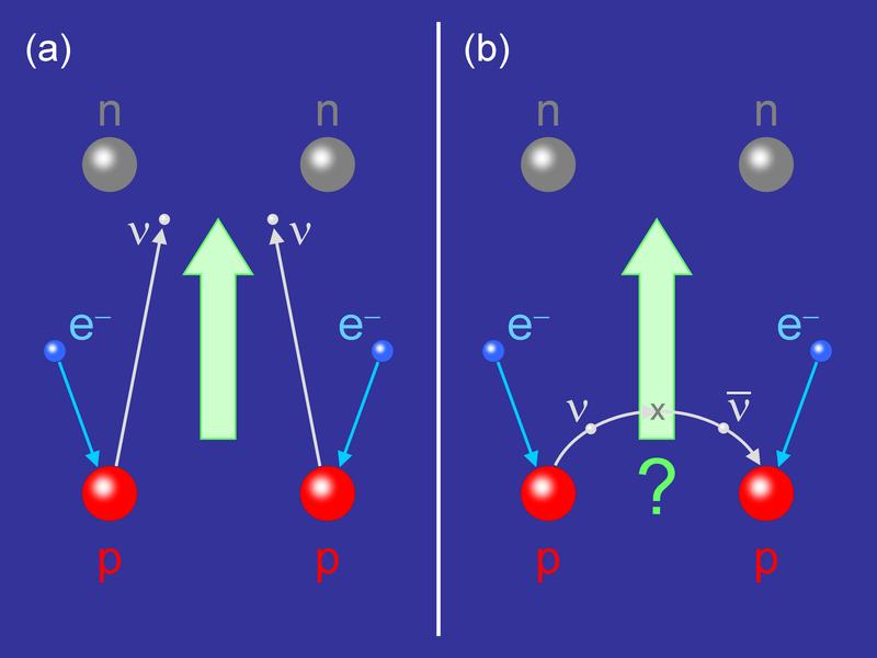 Abb. 1. Illustration des Doppeleinfangs zweier Elektronen (blau) durch zwei Protonen (rot), woraus zwei Neutronen (grau) hervorgehen. (a) "Normaler" Doppeleinfang unter Aussendung zweier Neutrinos (hellgrau). (b) Neutrinoloser Doppeleinfang: Das Neutrino aus einem der beiden Protonen wird als Antineutrino wieder eingefangen und verschmilzt mit dem zweiten Elektron und dem anderen Proton zu einem weiteren Neutron.
