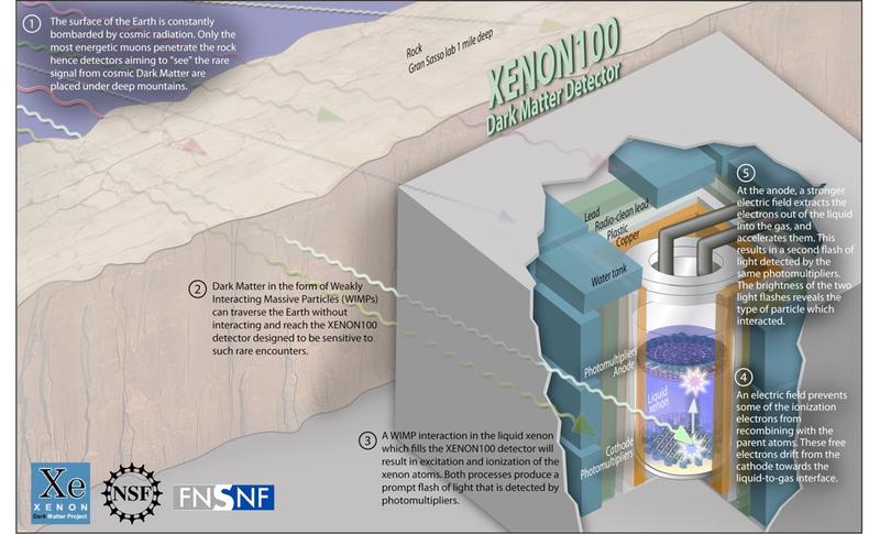 WIMP detection principle in the XENON100 experiment