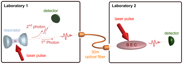 Figure: A single atom and a BEC in two separate laboratories serve as nodes in a basic quantum net-work. To prepare entanglement between these systems, a laser pulse is used to stimulate the atom to emit a single photon which is entangled with the single atom. The photon is used to transport the entanglement through an optical fibre into a neighbouring laboratory. Here, the photon is stored in the BEC. This procedure establishes entanglement between the single atom and the BEC. After some delay, the photon is retrieved from the BEC and the state of the single atom is mapped onto a second photon. The observation of entanglement between these two photons proves that all steps of the experiment were performed successfully.
