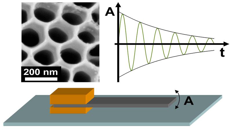 Oberflächentopographie der Nanoröhrchen / Untersuchung des Schwingungs- und Dämpfungsverhaltens einer Nanotube-Matrix auf einem Titan-Substrat 