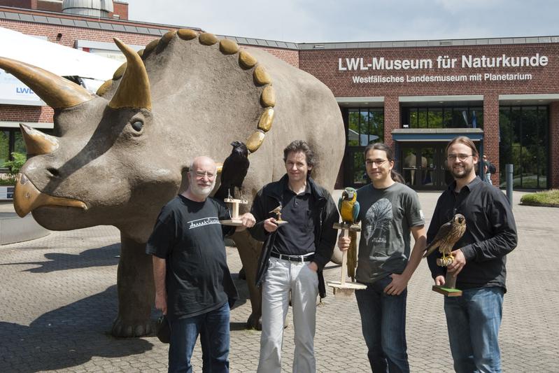 Die münsterschen Evolutionsforscher (von links): Prof. Jürgen Brosius, Dr. Jürgen Schmitz, Dipl.-Biol. Alexander Suh (ZMBE) und Dr. Jan Ole Kriegs vom LWL-Museum für Naturkunde