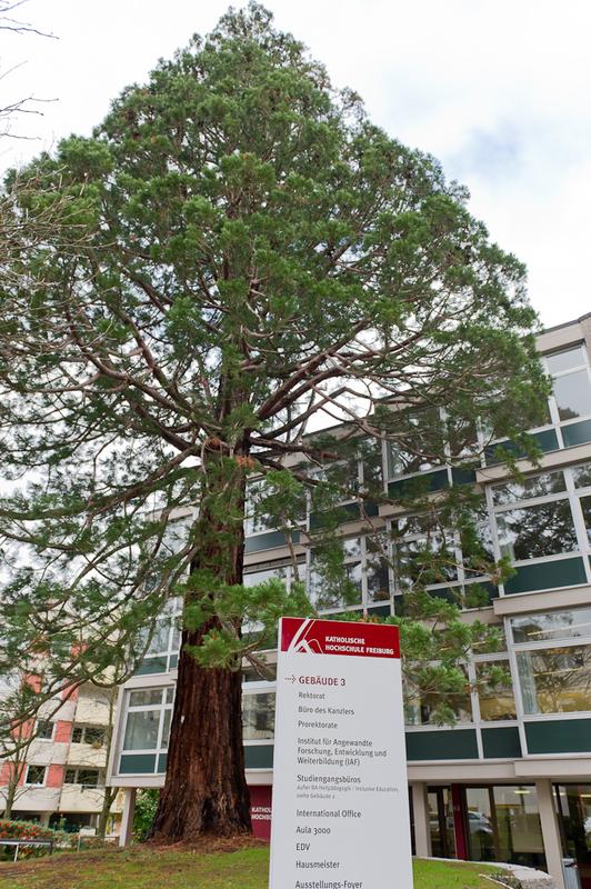 Katholische Hochschule Freiburg