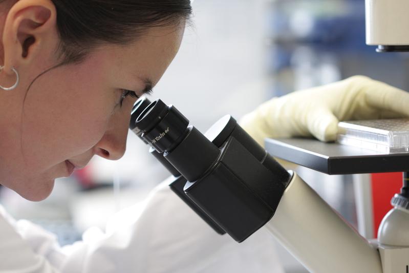 Forschung am Centrum für Interventionelle Immunologie