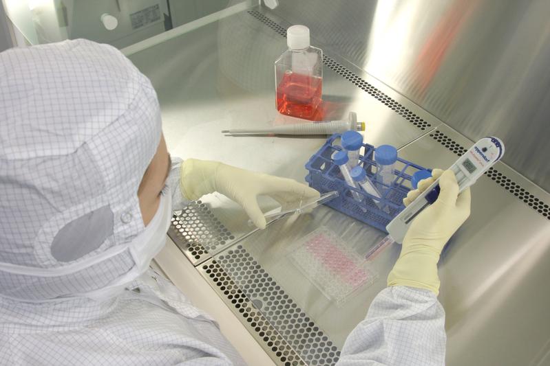 Forschung am Centrum für Interventionelle Immunologie