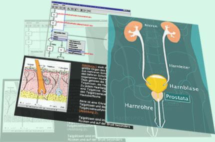 Auch die Effizienz medizinischer Vorlesungen läßt sich multimedial steigern