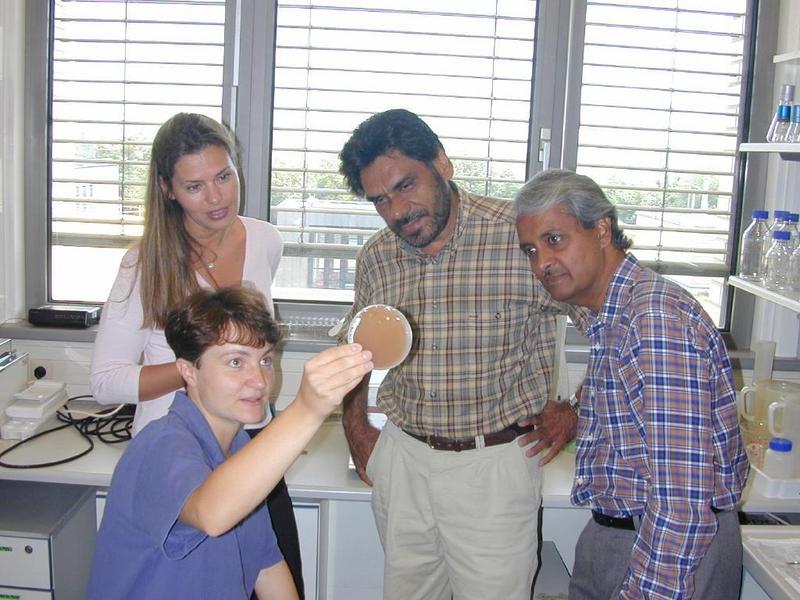 Streptokokken-Forscherteam der GBF, Dr. Susanne Talay, Prof. Dr. Singh Chhatwal, Dr. Kadaba Sriprakash (stehend von links nach rechts) und Andrea Haidan (sitzend)