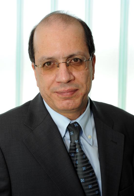 Prof. Dr.-Ing. Moustafa Abdel-Maksoud