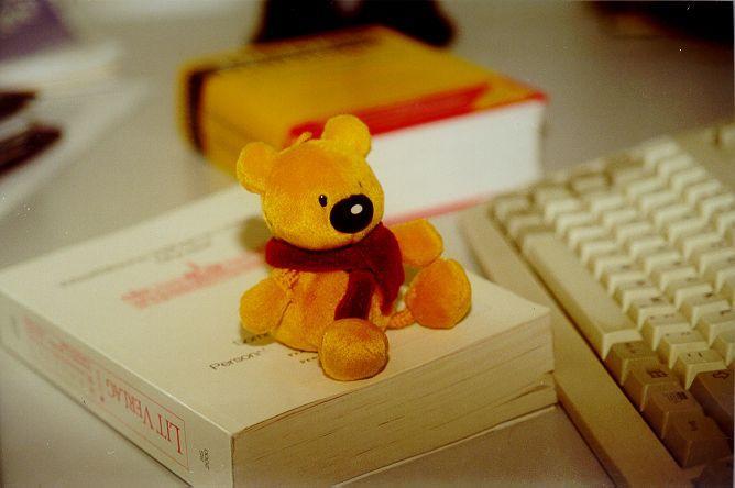 Der Teddy als Begleiter im Studium.
