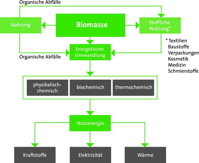 Biomassenutzungspfade