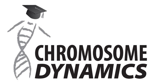 Logo des Doktoratskollegs