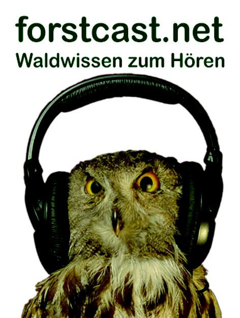 Die Eule mit Kopfhörer symbolisiert moderne Wissensvermittlung aus der Waldforschung