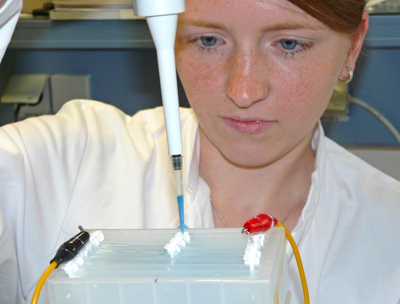 Projektmitarbeiterin Katharina Pfohl bereitet die Elektrodialyse in einer Versuchskammer vor.
