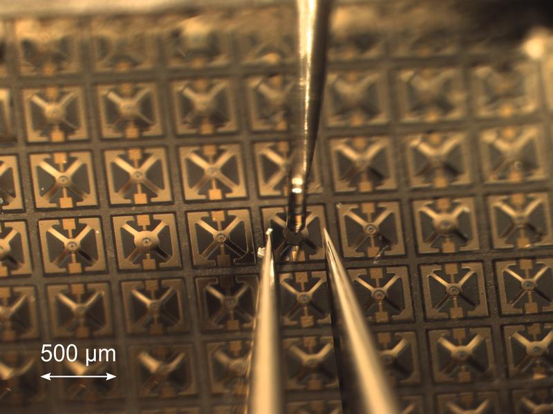 Kleiner Laser, großer Wellenlängenbereich: Der durchstimmebare Halbleiterlaser könnte den Betrieb zukünftiger Glasfasernetze für die Telekommunikation günstiger und effizienter machen und neuartige, hochempfindliche Gassensoren ermöglichen.