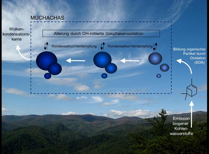 Untersuchte Prozesse im Rahmen des MUCHACHAS-Projekts 