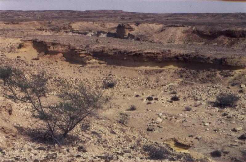 Die zumeist ebene Wüstenlandschaft wird hier von einigen trocken gefallenen Flußrinnen (Wadis) zerschnitten, deren Wände wertvolle geologische Hinweise bieten.