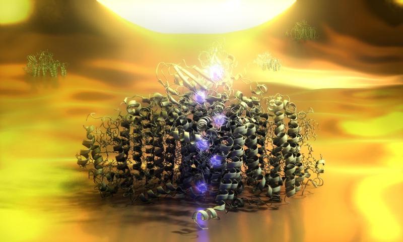 Photosystem-I (green) is optically excited by an electrode (on top). An electron then is transferred step by step in only 16 nanoseconds.