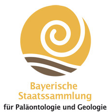 Logo BSPG