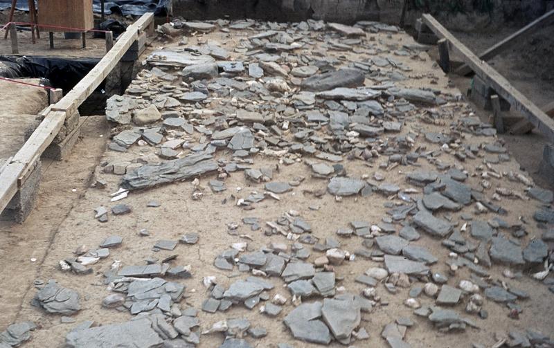 Ausgrabungen auf dem über 15.000 Jahre alten Fundplatz Gönnersdorf. Das Foto zeigt einen Ausschnitt aus der Grabungsfläche. Charakteristisch für Gönnersdorf ist die dichte Lage der vielen gravierten und ungravierten Schieferplatten 