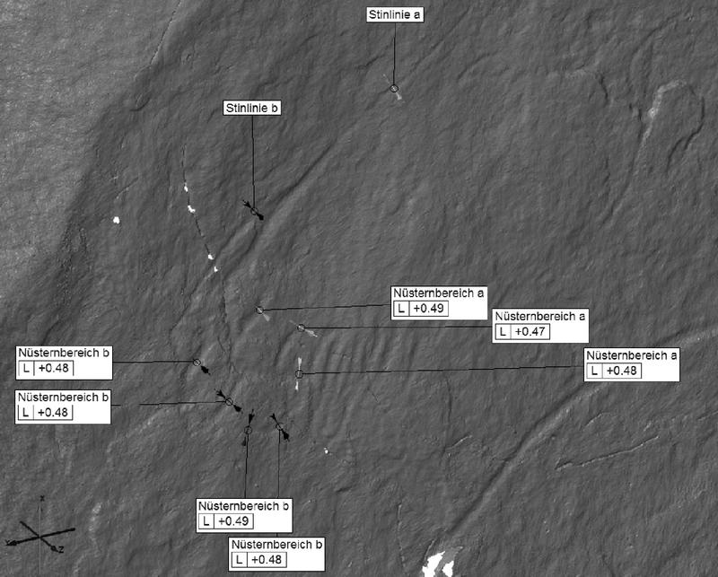 Ausschnitt eines Detailscans der Pferdekopfs von Platte 59. Angegeben sind die Linienbreiten der Gravierungen an ausgewählten Messpunkten des 3D-Scans 