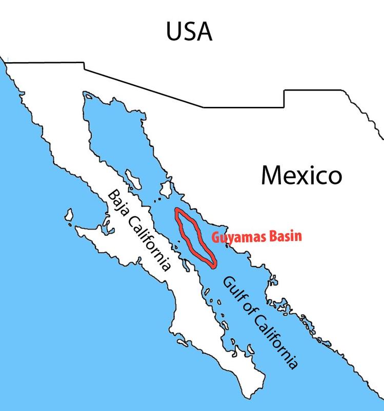 Where the samples were taken: The Guaymas Basin on the West coast of Mexico.