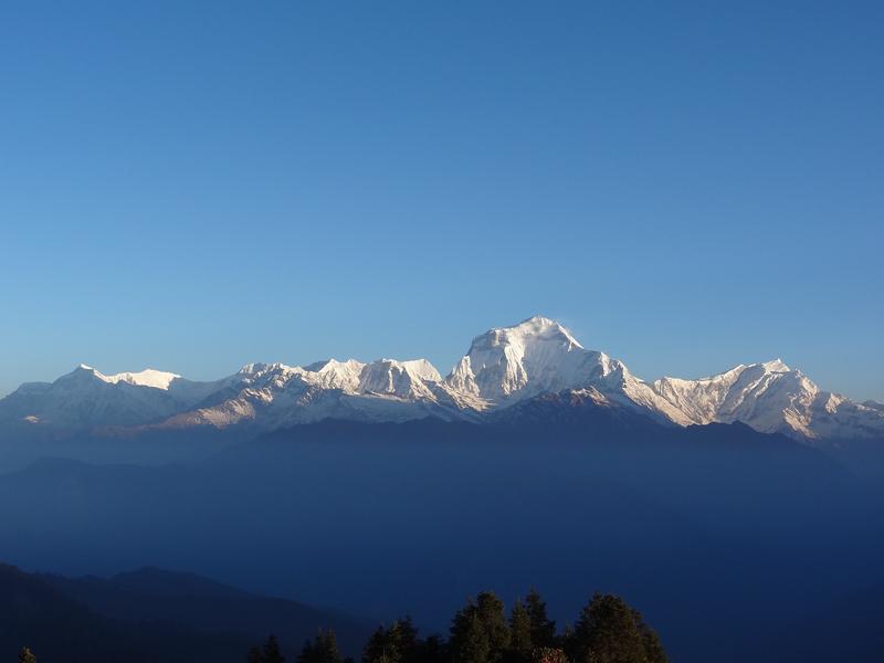 Poon Hill